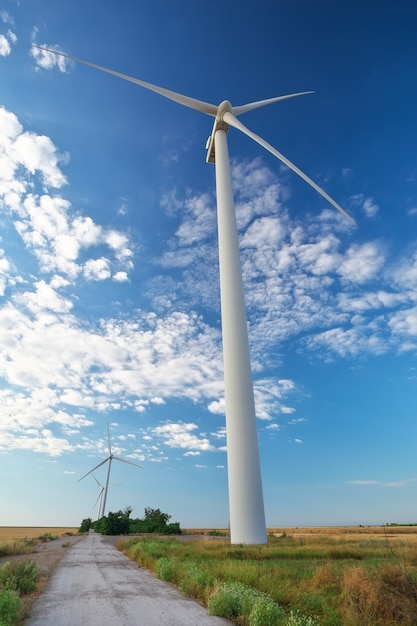 Windturbines en landbouwgebied op een zomerdag