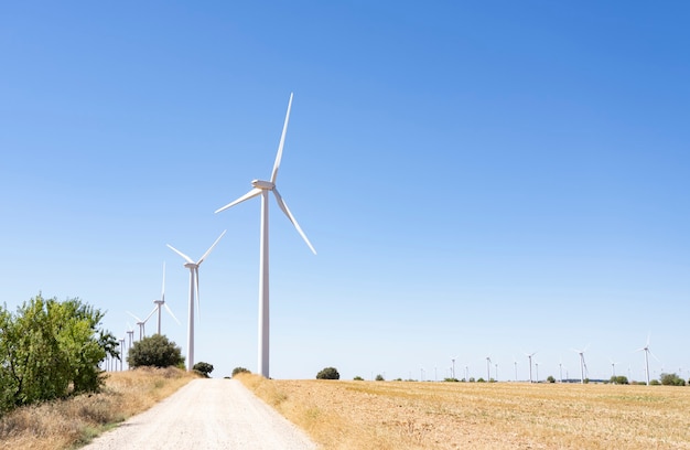 Windturbines en landbouwvelden op een zomerse dag