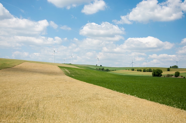 Windturbines en tarwe velden