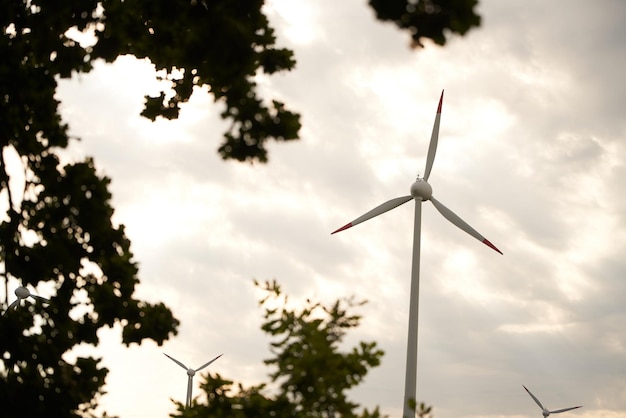 Windturbines in een windpark in een prachtige natuurlijke omgeving op een zonnige zomerdag Hernieuwbare energie in Europa