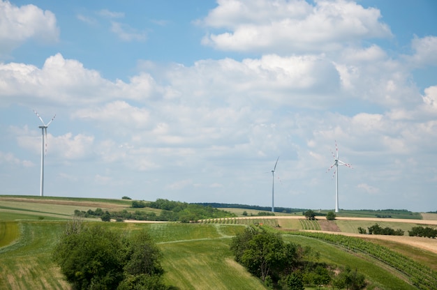 Foto windturbines in het veld