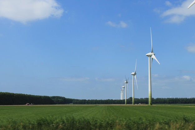 Windturbines op grasveld
