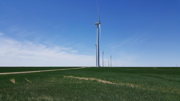 Windturbines op het veld tegen de lucht