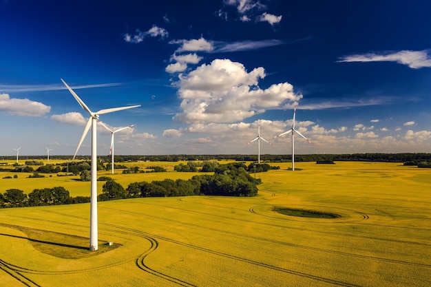 Windturbines op het veld tegen de lucht