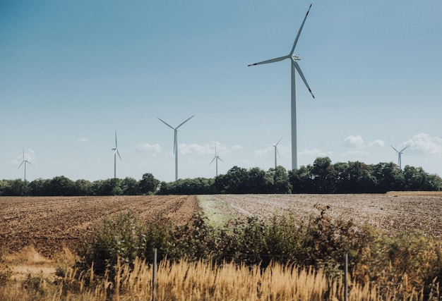 Windturbines op het veld tegen een heldere hemel