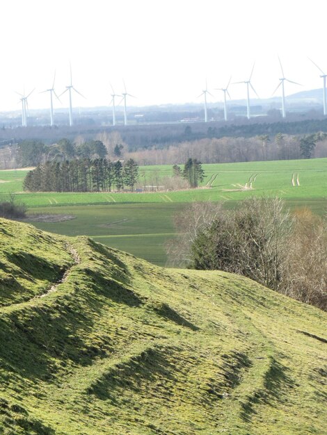 Foto windturbines op het veld