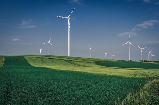 Windturbines op landbouwgrond