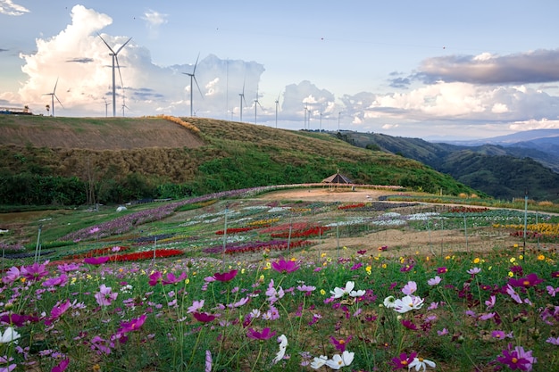 Windturbines produceren schone energie en milieuvriendelijk.