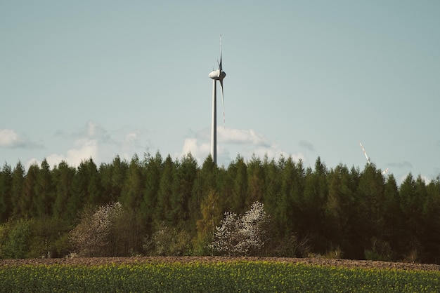 Windturbineslandschap Adembenemend landschap van windturbines die groene energie en duurzame elektriciteitsopwekking symboliseren