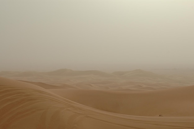 Photo windy desert landscape