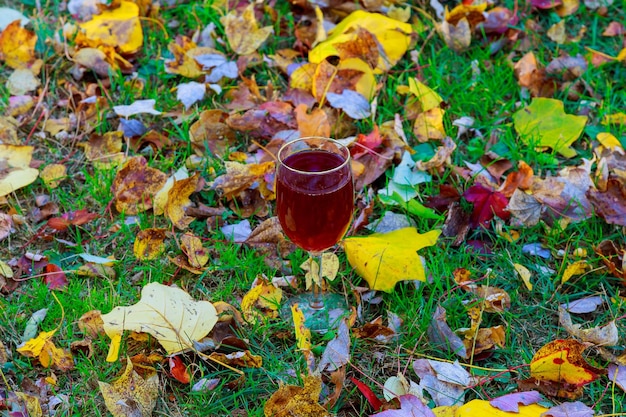 Vino autunno bicchiere di vino rosso e bottiglia da vicino