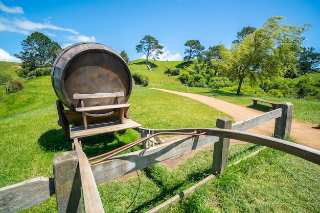 La botte di vino sul carretto contro il campo di erba verde nell'agricoltura della campagna abbellisce il fondo.