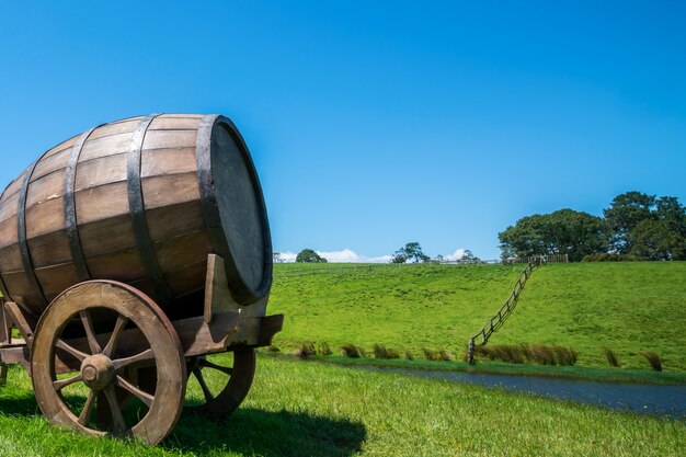 Barilotto di vino nel campo di erba verde