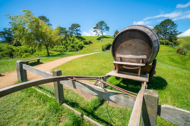 Wine Barrel in Green Grass Field