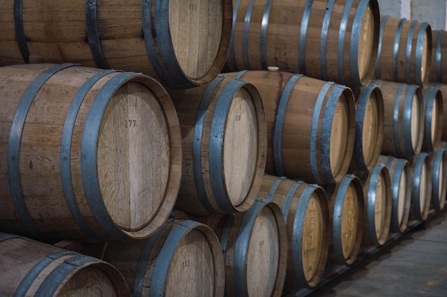 Wine barrels in cellar