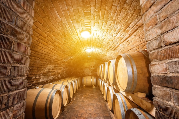 Wine cellar full of barrels of wine alcohol concept