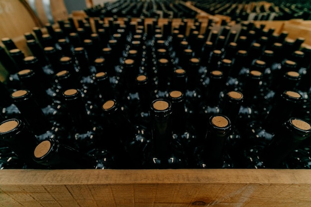 Foto cantina. molte bottiglie di vino in gru di legno