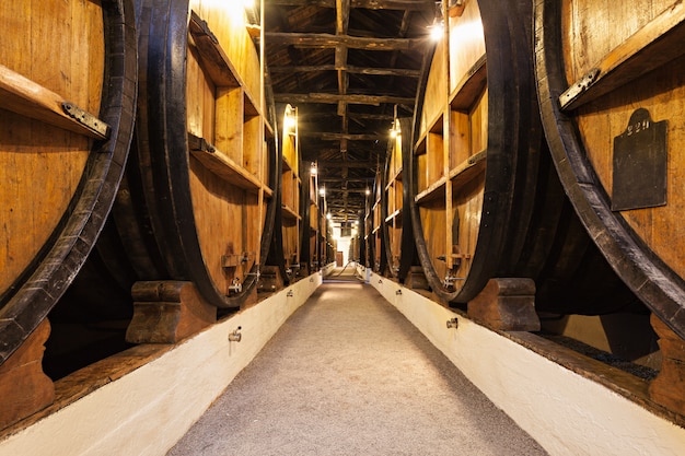 Wine cellar, Porto