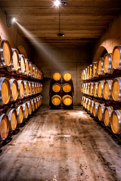 Wine cellar Wine barrels in a winery in Spain Vertical view