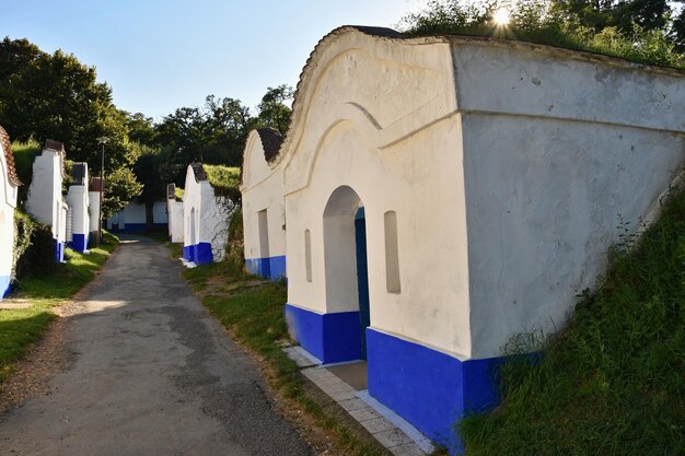 Foto cantina di vino regione vinicola moravia meridionale repubblica ceca