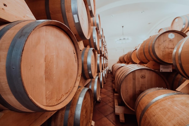 Wine or cognac barrels in the cellar of the winery, Wooden wine barrels in perspective. Wine vaults.Vintage oak barrels of craft beer or brandy.