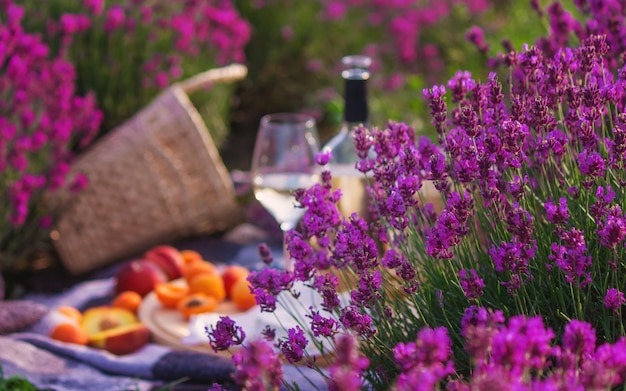 Foto vino, frutta, bacche, formaggio, bicchieri, picnic, in, campo lavanda, focusnature selettivo