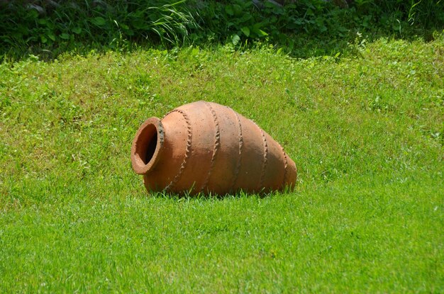 Wine jar laying on green grass summer nature