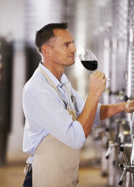 Wine manufacturing and aroma with a man smelling a glass in a distillery for production or fermentation Industry steel and equipment in a plant factory or warehouse with a male alcohol maker