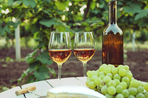 Vino con formaggio in tavola nel vigneto