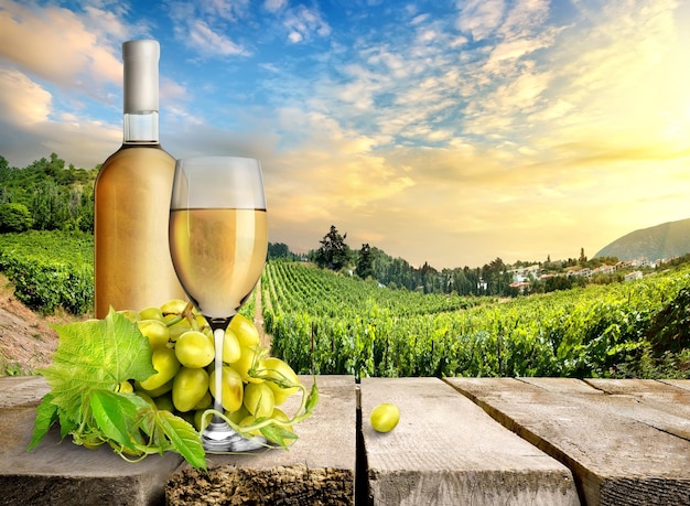 Wine with grape on a background of vineyard