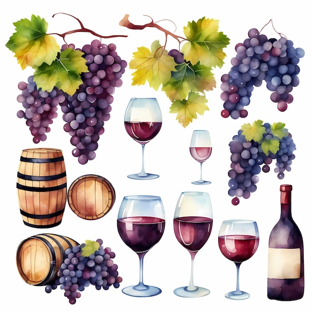 Photo winemaking barrel grapes bottlewatercolor hand painted isolated illustration on white background