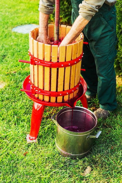 Winepress machine.Young man making wine using wooden winepress machine. Crusher on grass outdoors. Grape harvest. Concept of small craft business. Special equipment for production of wine, winemaking.