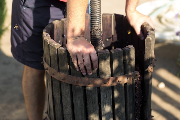 Winepress with red must and helical screw Production of traditional Italian wines crushing of grapes