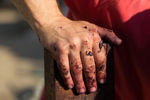 Winepress with red must and helical screw Winemakers hands close up