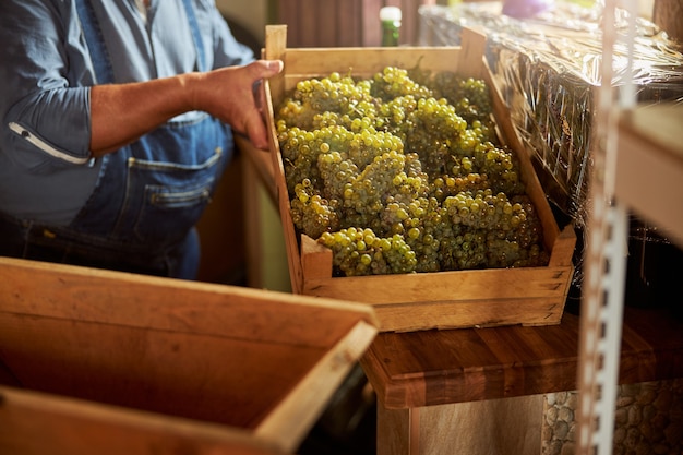 a winery worker lifting a wooden box with white grapes off the table