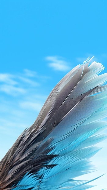 крыло птицы на голубом небе