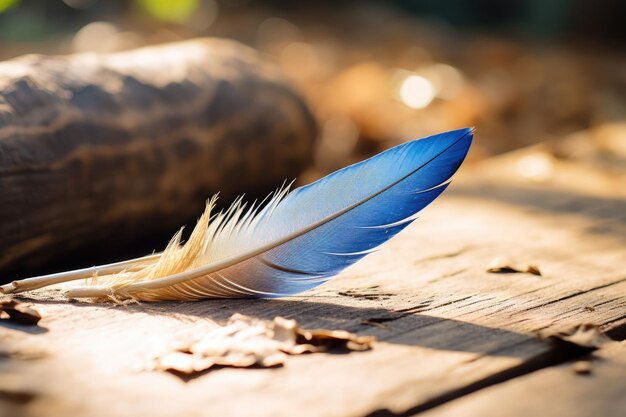 Foto dettaglio dell'ala consistenza piuma concetto blu natura primo piano macro sfondo bianco bellissimo uccello astratto