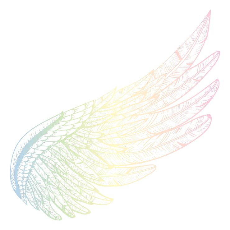 Photo 翼 png イラスト 透明な背景