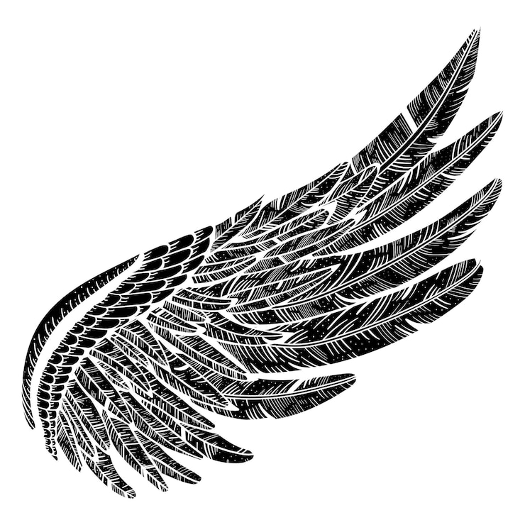 Photo 翼 png イラスト 透明な背景