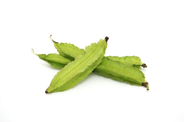 Winged Bean isolated.