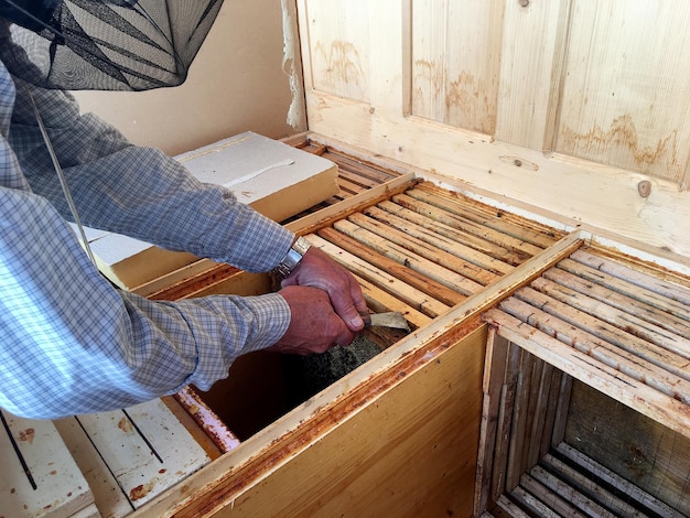 Winged bee slowly flies to beekeeper collect nectar on private apiary from live flowers