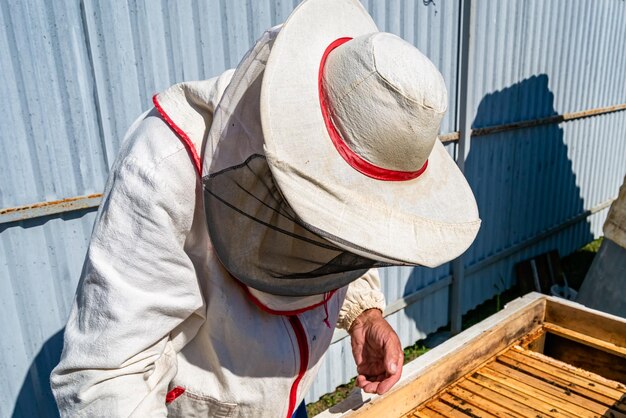 羽のあるミツバチがゆっくりと養蜂家に飛んで私設の養蜂場で蜜を集めます