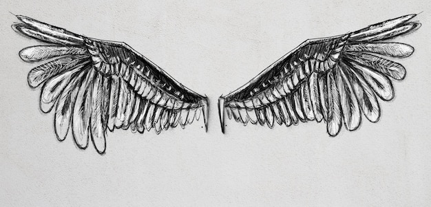 Photo wings sketch