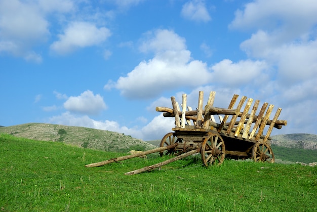 Winkelwagen op veld