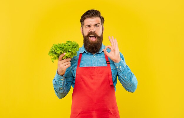 Подмигивающий мужчина в фартуке, показывающий, что все в порядке, держит свежий лист салата на желтом фоне, овощной магазин