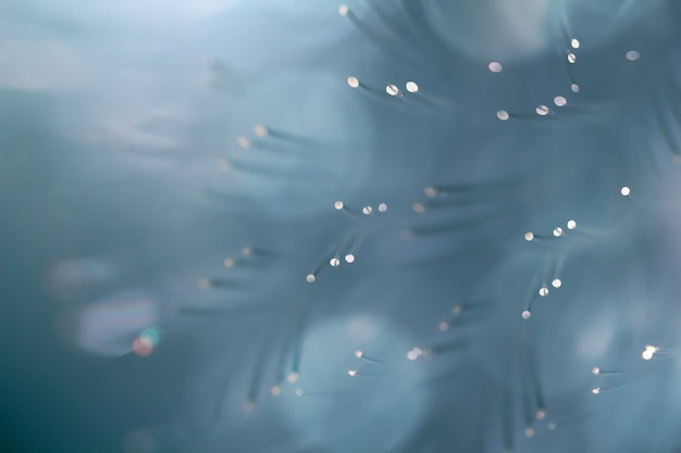 Winter abstract background with shining bokeh effect