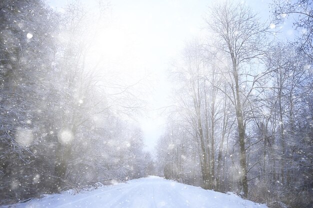 winter achtergrond sneeuwval bomen abstract wazig wit