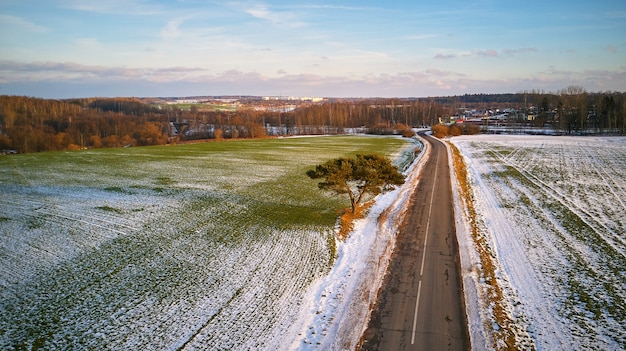 Winter Agricultural field under snow. Countryside road Aerial view. Lone pine tree near driveway. December Rural landscape. Minsk region, Belarus