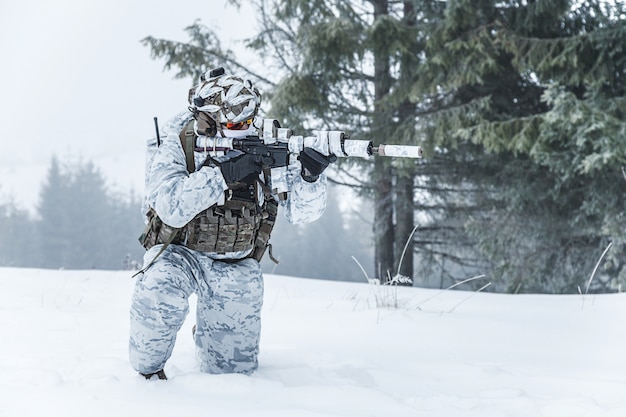 Photo winter arctic warfare