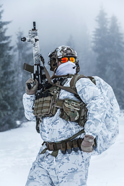 Winter arctic warfare